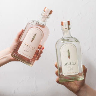 58 AND CO LONDON DRY GIN AND APPLE & HIBISCUS GIN BEING HELD UP AGAINST A WHITE WALL