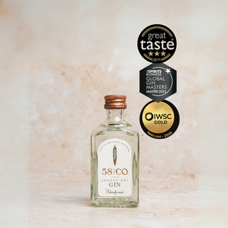 Bottle of 58 and CO London Dry Gin Miniature Bottle | Mini Spirit 5cl with awards on a light background