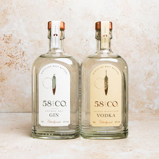 Two bottles of 58 & Co. gin and vodka on a textured surface - MARTINI COLLECTION