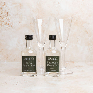 Two miniature bottles labeled '58 CO Gin Martini' and '58 CO Vodka Martini' with two MINI MARTINI glasses on a textured surface.