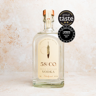 Bottle of 58 AND CO Triple Distilled Vodka with great taste and vodka masters awards on a light background