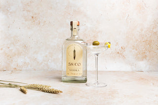 Classic Vodka Martini