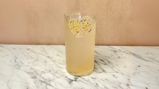 Distillery Dog Cocktail Recipe | Spin on a Salty Dog Gin cocktail recipe