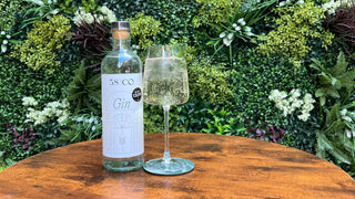 Hugo Spritz Gin Cocktail Recipe - Gin, Elderflower Liqueur, Prosecco and Soda