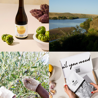 Collage of images including a bottle of olive oil, artichokes, a scenic view, an olive branch.