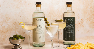 Two bottles of 58 and CO House Pour Gin and Vodka with martini cocktails and olives on a textured surface.