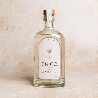 Bottle of 58 AND CO Gin Martini on a beige background