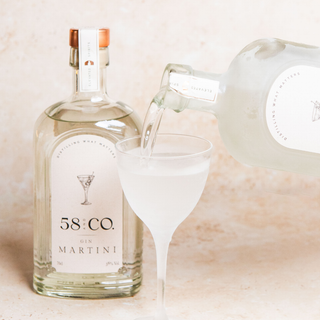 Bottle of 58 and CO gin Martini with a filled glass on a light background