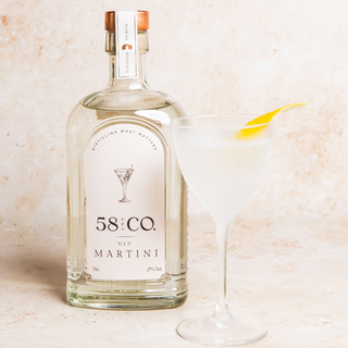 Bottle of 58 AND CO Gin Martini with a martini cocktail glass on a light background