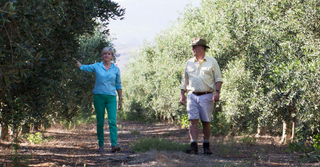 Brenda and Nick Olive Oil Producers walking through an olive grove