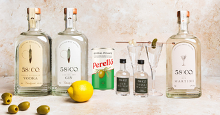 Martini Collection of 58&Co vodka, gin, and martini bottles with a lemon, olives and Perello can on a light background.